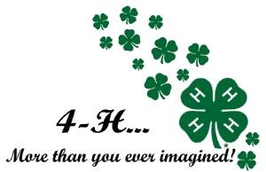 4-H with 4-H clovers and says More than you ever imagined!